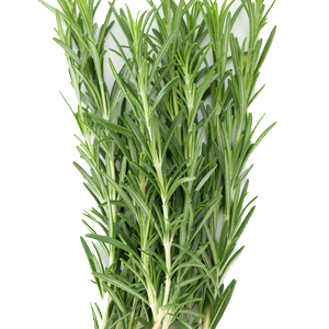 Herbal Benefit