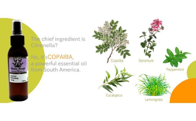 Outdoor Refreshing Spray =top image=