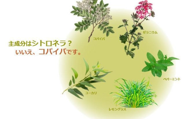 Outdoor Refreshing Spray =top image=